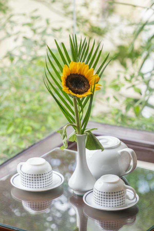 Golden Soulmate Homestay Hoi An Exterior foto